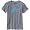 Gull Grey