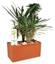 DuneCraft Plant Cubes - Madagascar Palms