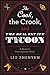 The Cook, the Crook, and the Real Estate Tycoon: A Novel of Contemporary China