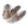 G�termann / KnorrPrandell 6623980 - Perlhuhnfedern 5cm natur dunkel, 20 St�ck/Beutel