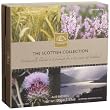 Edinburgh Tea & Coffee Company, The Scottish Collection 4-Flavor Variety Pack, 40-Count Tea Sachets
