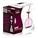 Kitchen Gizmo Wine Decanter, Aerator and Wine Glass Set - 100% Hand Blown Lead-free Borosilicatel Glass
