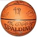 Boston Celtics 2008 Team Signed Spalding Official NBA Basketball