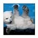 Baby Polar Bear Ceramic Tile Coaster Great Gift Idea