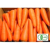 自然な甘みが美味しい♪鹿児島県産 有機栽培【人参】3kg（LＭSサイズ 洗い）