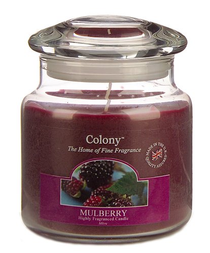Colony Gift Corporation Ltd Wax Lyrical Homescents Klassische Kerze im Glasgef&auml;&szlig;, Maulbeere