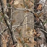 RP CAMO