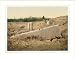FRAMED - Temple of the Sun center stone Baalbek Holy Land (Balabakk Lebanon), c. 1890...
