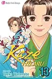 Kaze Hikaru, Vol. 13