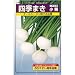 関東地方で大人気!四季蒔き小かぶ　数量:5ml