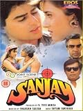Sanjay (1995) (Hindi Film / Bollywood Movie / Indian Cinema DVD)
