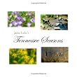 Jackie Locke's Tennessee Seasons