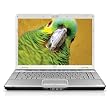 HP Pavilion DV6770SE 15.4-inch Entertainment Laptop (AMD Turion 64 X 2 Dual Core TL-62 Processor, 3 GB RAM, 250 GB Hard Drive, Vista Premium)