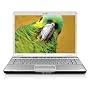 HP Pavilion DV6770SE 15.4-inch Entertainment Laptop (AMD Turion 64 X 2 Dual Core TL-62 Processor, 3 GB RAM, 250 GB Hard Drive, Vista Premium)