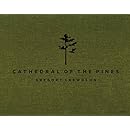 Gregory Crewdson: Cathedral of the Pines