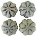 Colorful Antique Look Ceramic Magnets- Set of 4