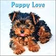 Puppy Love 16 Month 2010 Wall Calendar