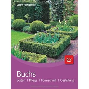Buchs: Sorten · Pflege · Formschnitt · Gestaltung