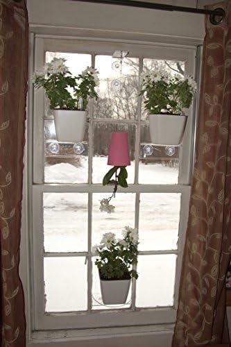 Aquaphoric Complete Self Watering Planter Kit Will Bathe Your Plants in a Soothing Blend of Sumptuous Nutrients and Oxygen Your Plants Will Love - blue