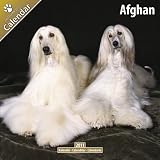 Kalender 2011 Afghane - Afghanischer Windhund
