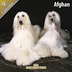Kalender 2011 Afghane - Afghanischer Windhund