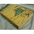 Boy Scouts in Southern Waters or Spaniard's Treasure Chest by G. Harvey Ralphson and Frontis Illus