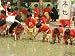 South Korean Kindergarten Pupils Plant Rice Seedlings Photographic Poster Print, 48x64
