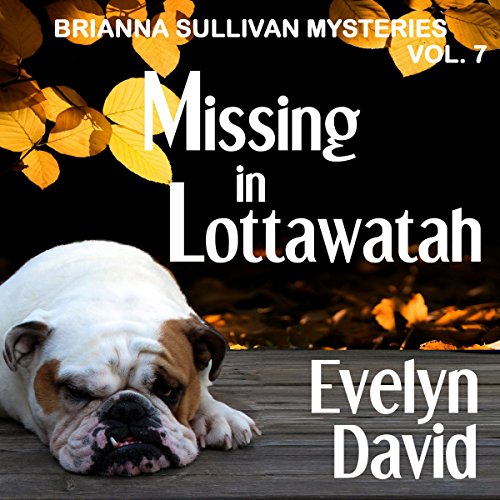 Missing in Lottawatah: Brianna Sullivan Mysteries, by Evelyn David