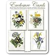Posies/ Irises Botanicals - Set of Four Gift Cards and Vellum Envelopes