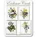 Posies/ Irises Botanicals - Set of Four Gift Cards and Vellum Envelopes