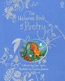 Usborne Book of Poetry (Usborne Poetry Books)
