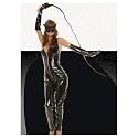 Elegant Moments 4pc. Costume includes a zip front vinyl cat suit & a mask