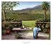 Overlooking the Vineyard - Barbara Felisky Art Print Poster 30 x 26
