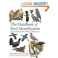 The Handbook of Bird Identification: For Europe and the Western Palearctic (Helm Identification Guides)
