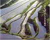 たんぼ美しい日本の風景