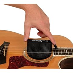 Planet Waves PW-HPK-01 Humidipak