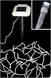 Set of 200 Wide Angle LED Pure White Solar Powered Christmas Lights - White Wire