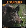 Le sanglier