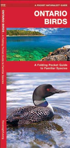 Ontario Birds: A Folding Pocket Guide to Familiar Species (Pocket Naturalist Guide Series)