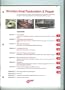 Wooden Boat Restoration and Repair