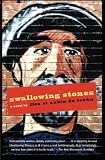 Swallowing Stones: A Novel