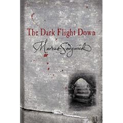 The Dark Flight Down (Book of Dead Days)