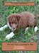 The Happy Dog Manual: Nine Easy Steps for Creating the Ideal Pet