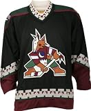 Phoenix Coyotes Black Classic Pique Stainguard Polo Shirt - XX-Large