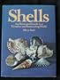 Shells: An illustrated guide to a timeless and fascinating world