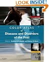 Color Atlas of Diseases and Disorders of the Foal