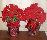 Faux Poinsettia Plants (15)