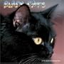 Black Cats 2008 Wall Calendars