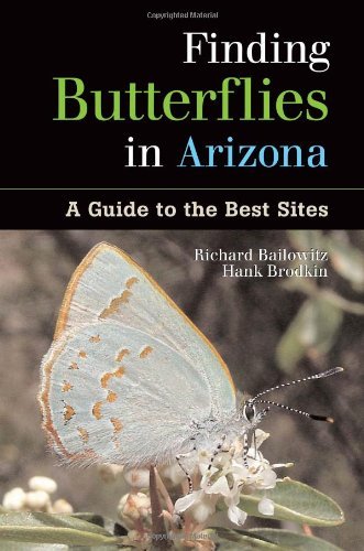 Finding Butterflies in Arizona: A Guide to the Best Sites