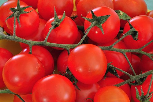 Large Red Cherry Tomato Seed Pack